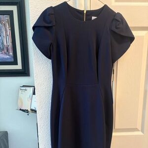 Calvin Klein Navy Blue Sheath Dress w/Petal Sleeves-size 2- NWT